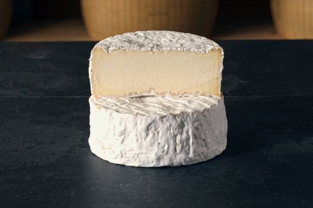 Brillat-Savarin Tradition Briarde